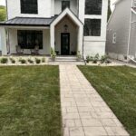 new sod installation