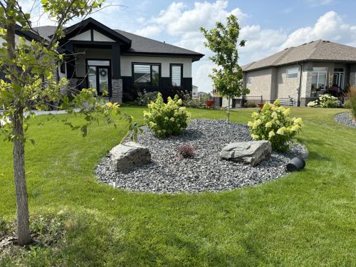 rock garden and new sod